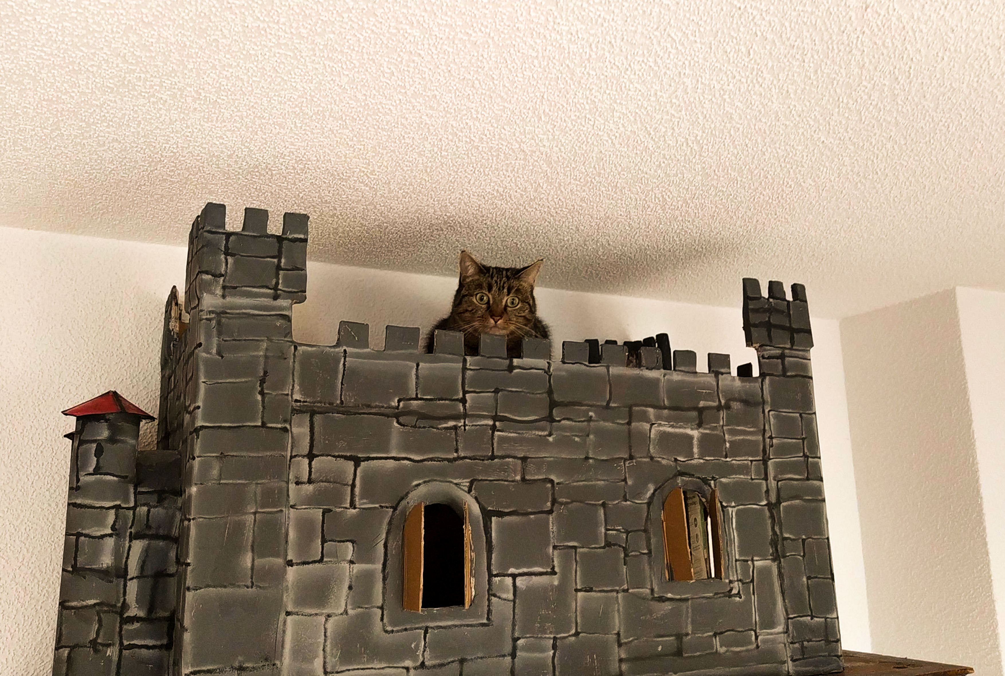 Seat of Government castle preview